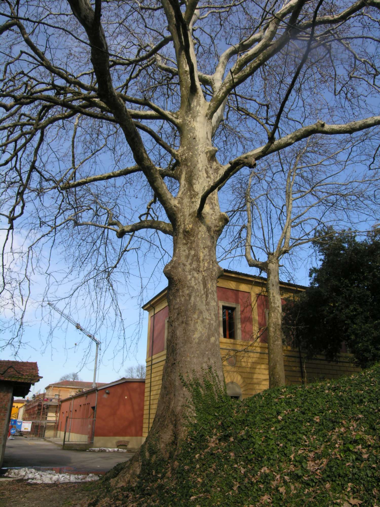 Ex Ospedale Psichiatrico Luigi Lolli 1 - Imola BO
